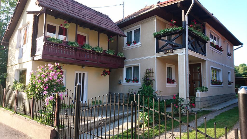 Casa Georgeta Hostal Bran  Exterior foto